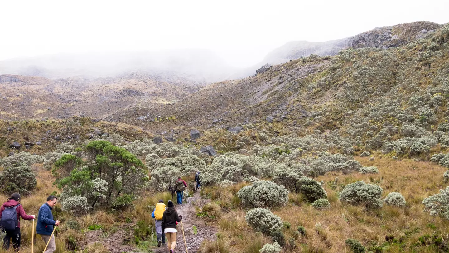 Four hikers on a misty trail in Nevados National Natural Park toward Santa Isabel Glacier
