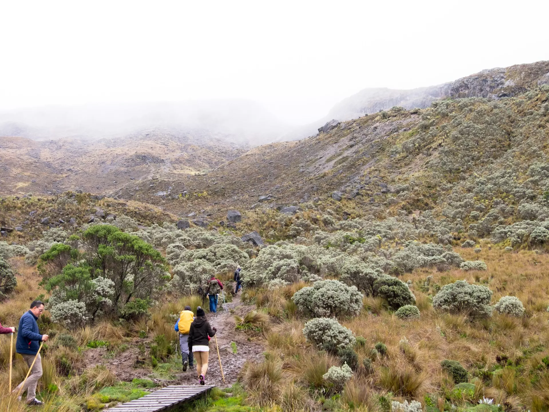 Four hikers on a misty trail in Nevados National Natural Park toward Santa Isabel Glacier