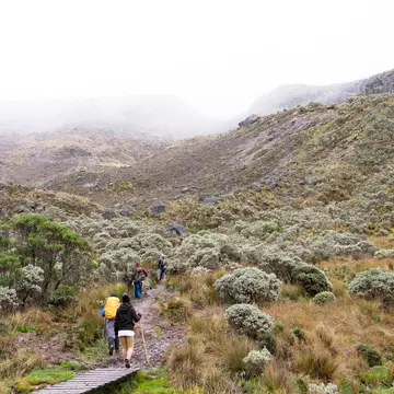 Four hikers on a misty trail in Nevados National Natural Park toward Santa Isabel Glacier