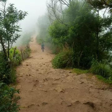 Road in fog at the Top station in Munnar
