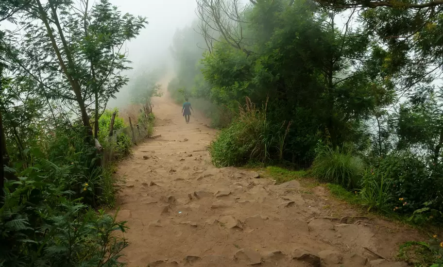A person walks up a rocky, mist-shrouded dirt trail flanked by lush green trees and shrubs in foggy conditions