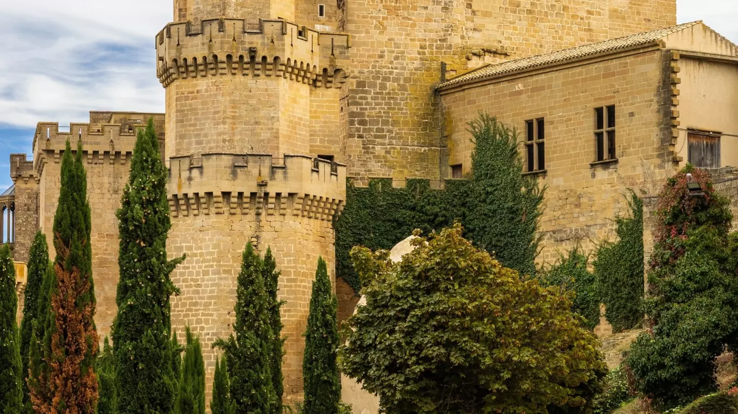 View of the Palacio Real in Olite, Spain, with a green lawn and cypress trees in the foreground.