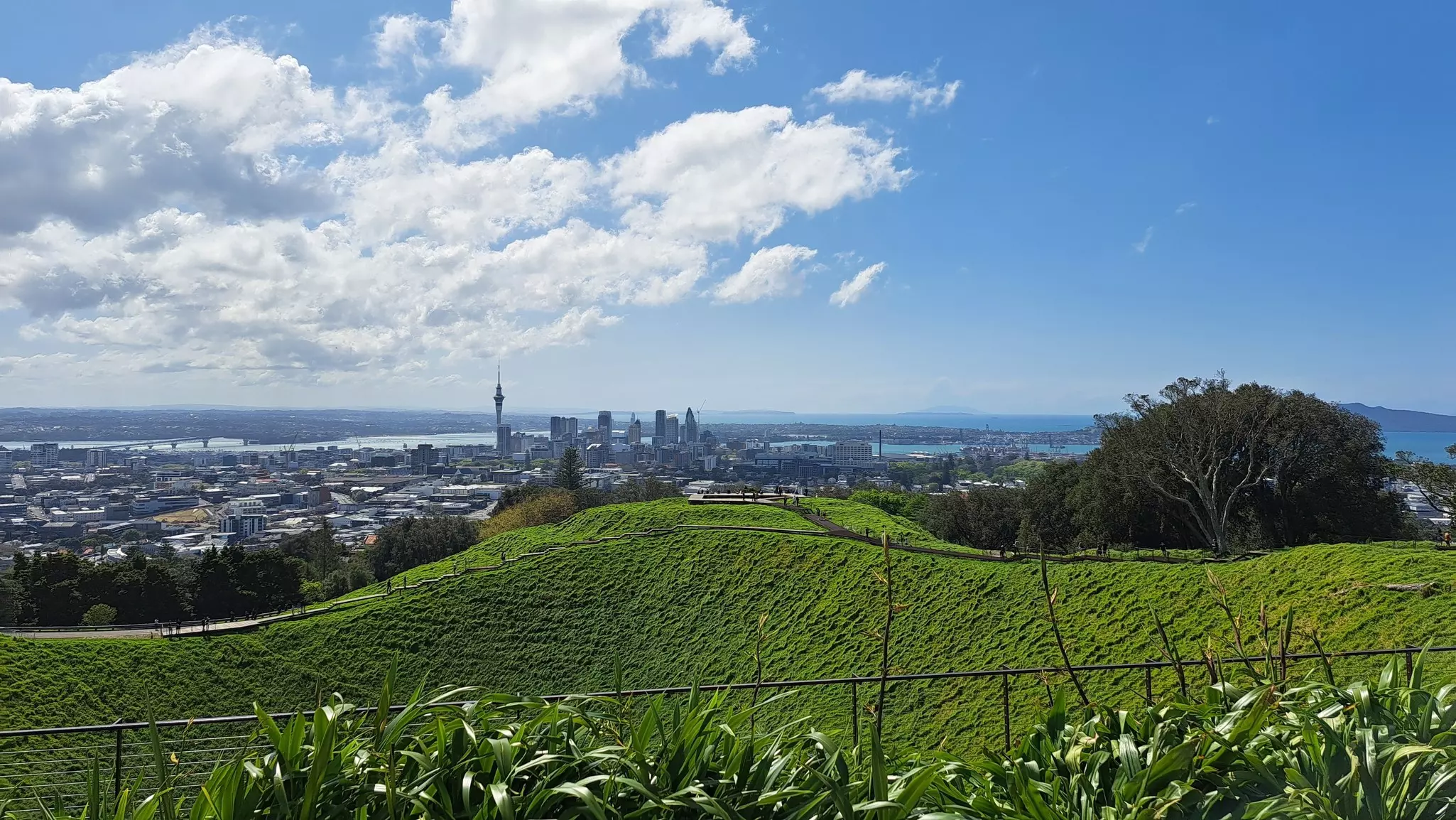 A green hill with a path at the top is in the foreground and the skyline of Auckland, New Zealand, is in the background under blue sky with some clouds.