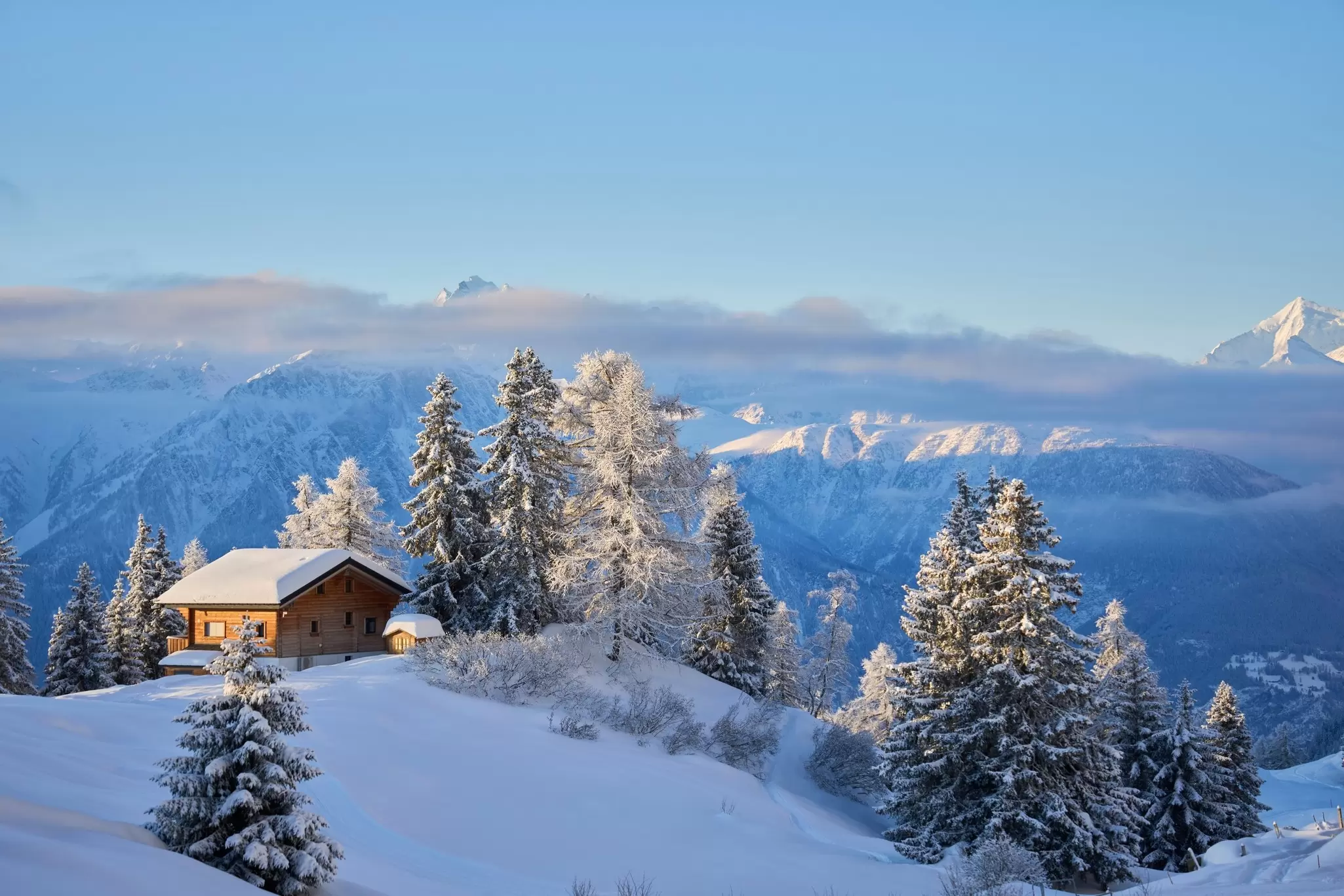 A snowy alpine cabin surrounded by frosted trees and mountains under a clear blue sky in winter.