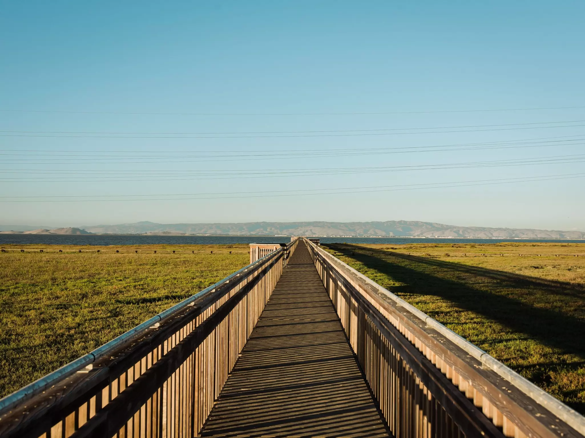 A boardwalk over a marsh.