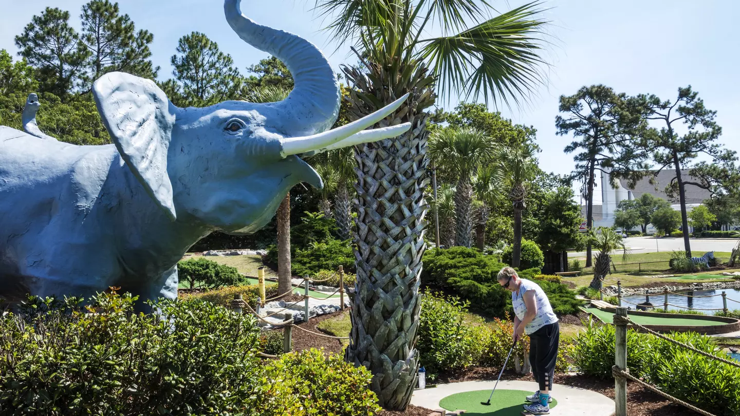A woman puts at a mini-golf course next to a palm tree and fiberglass elephant in Myrtle Beach
