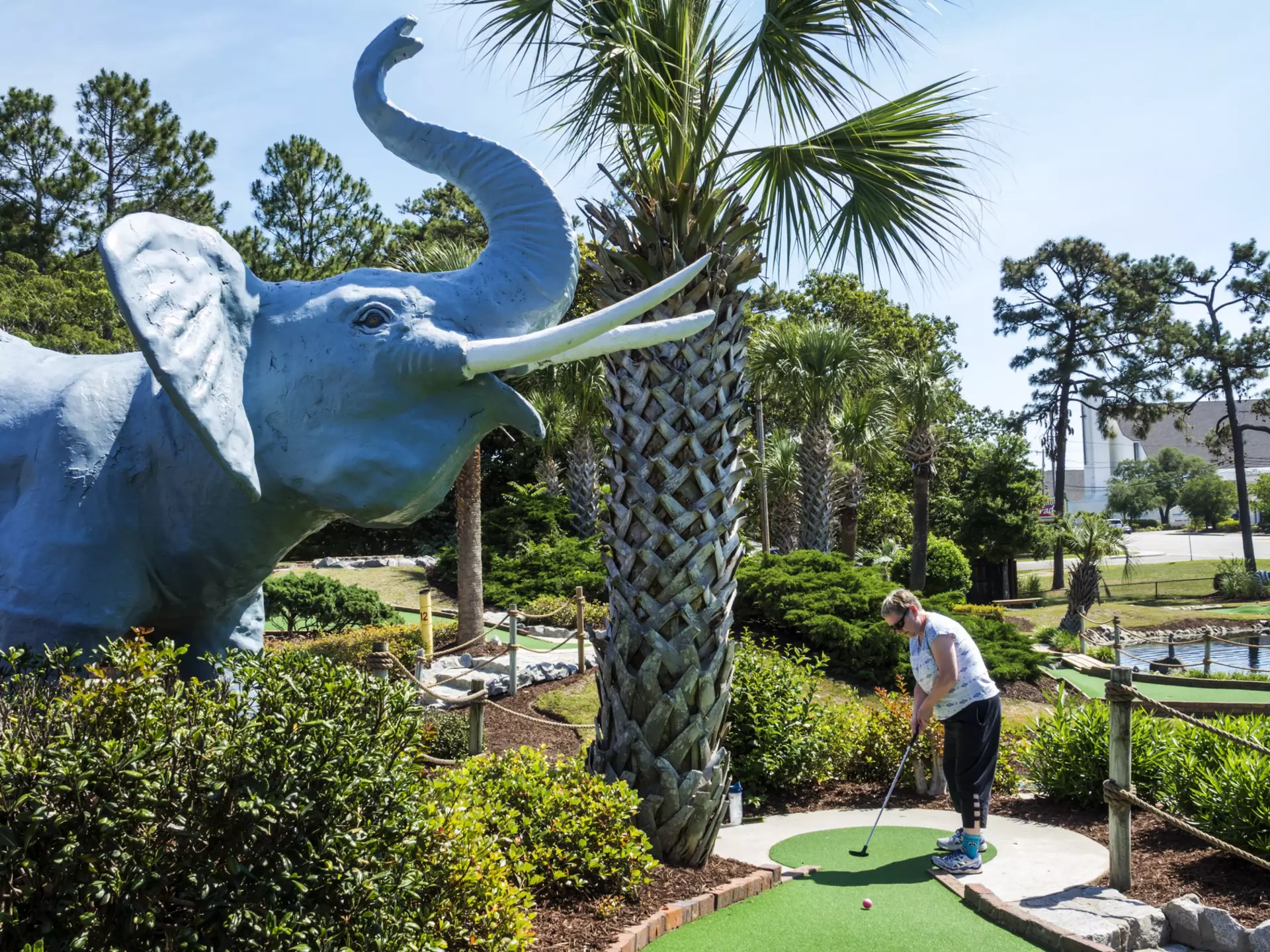 A woman puts at a mini-golf course next to a palm tree and fiberglass elephant in Myrtle Beach