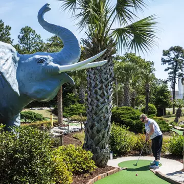 A woman puts at a mini-golf course next to a palm tree and fiberglass elephant in Myrtle Beach