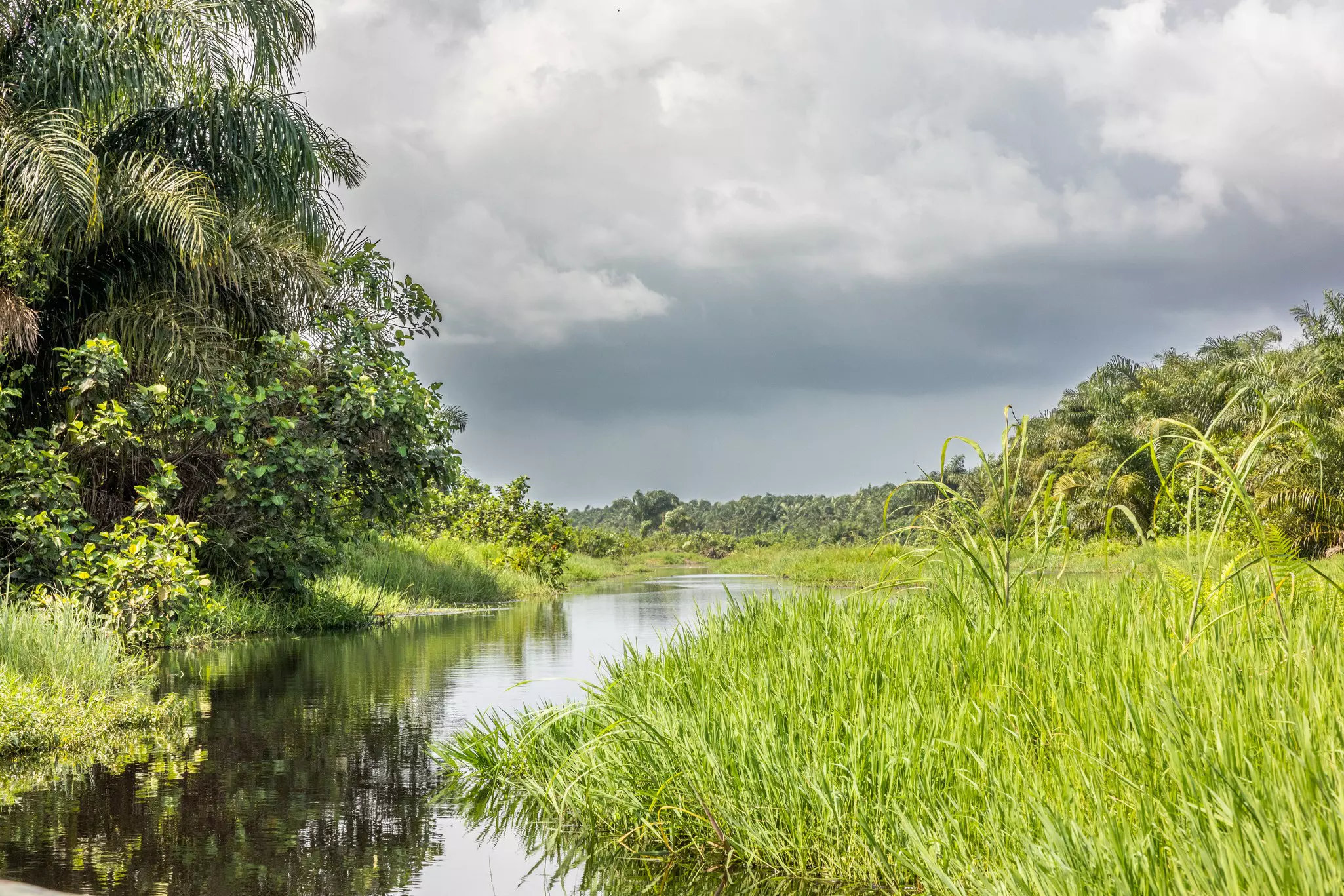 GettyImages-1445840396.jpg
Epe Mangrove