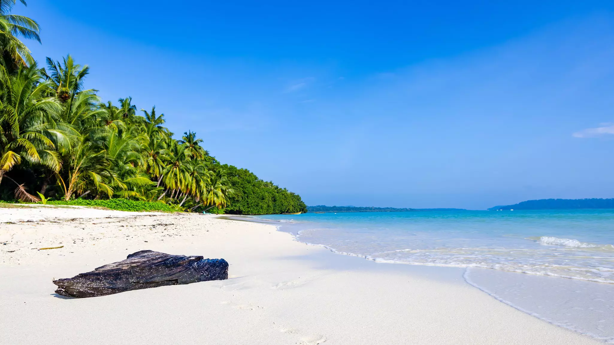White sandy beach lined with palm trees