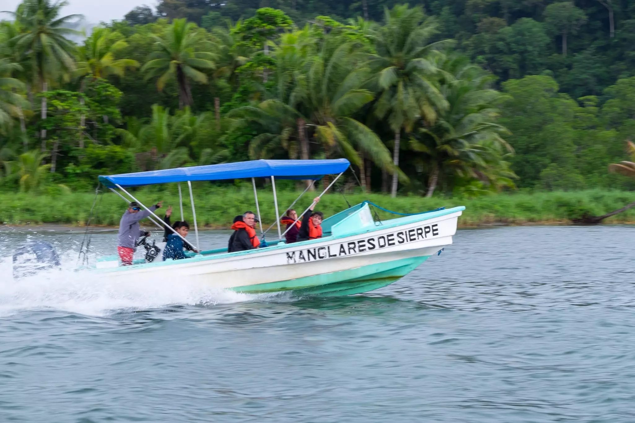 A boat on a river with a lush green background