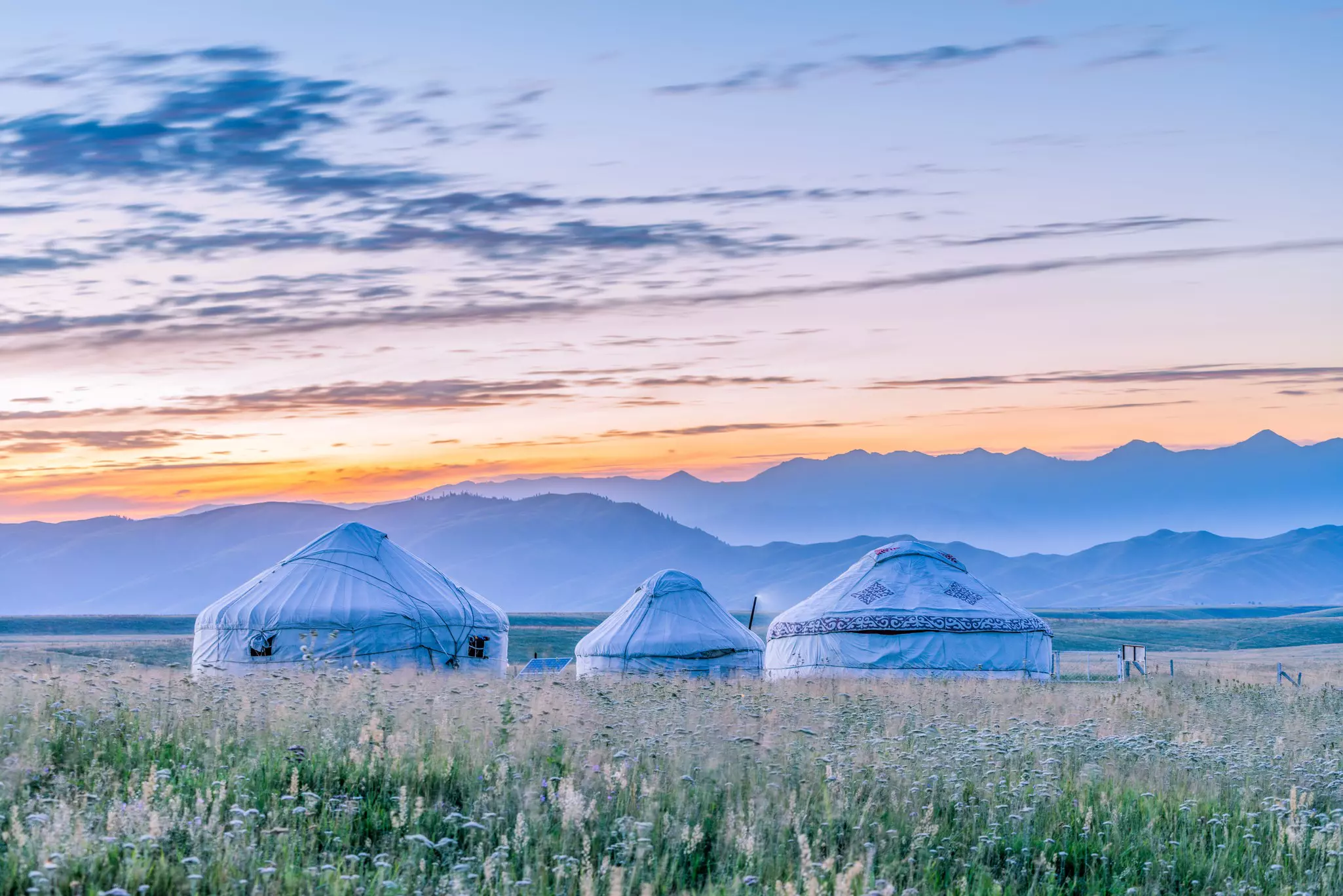 In the spring months of April and May ger camps open and wildflowers bloom © Jaris Ho / Getty Images