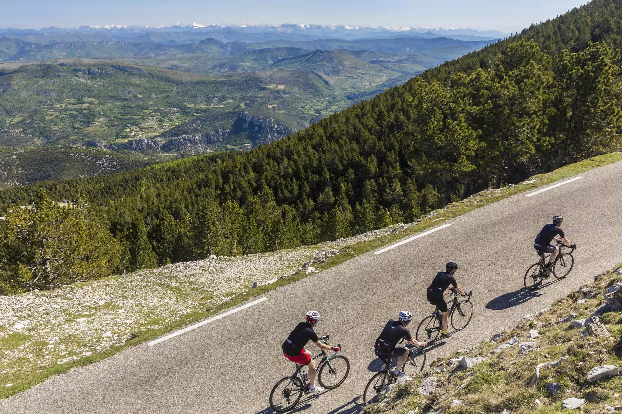 Group of cyclists on ascent by bicycle near the summit of Mont Ventoux (1912m) with a view of the Alps.