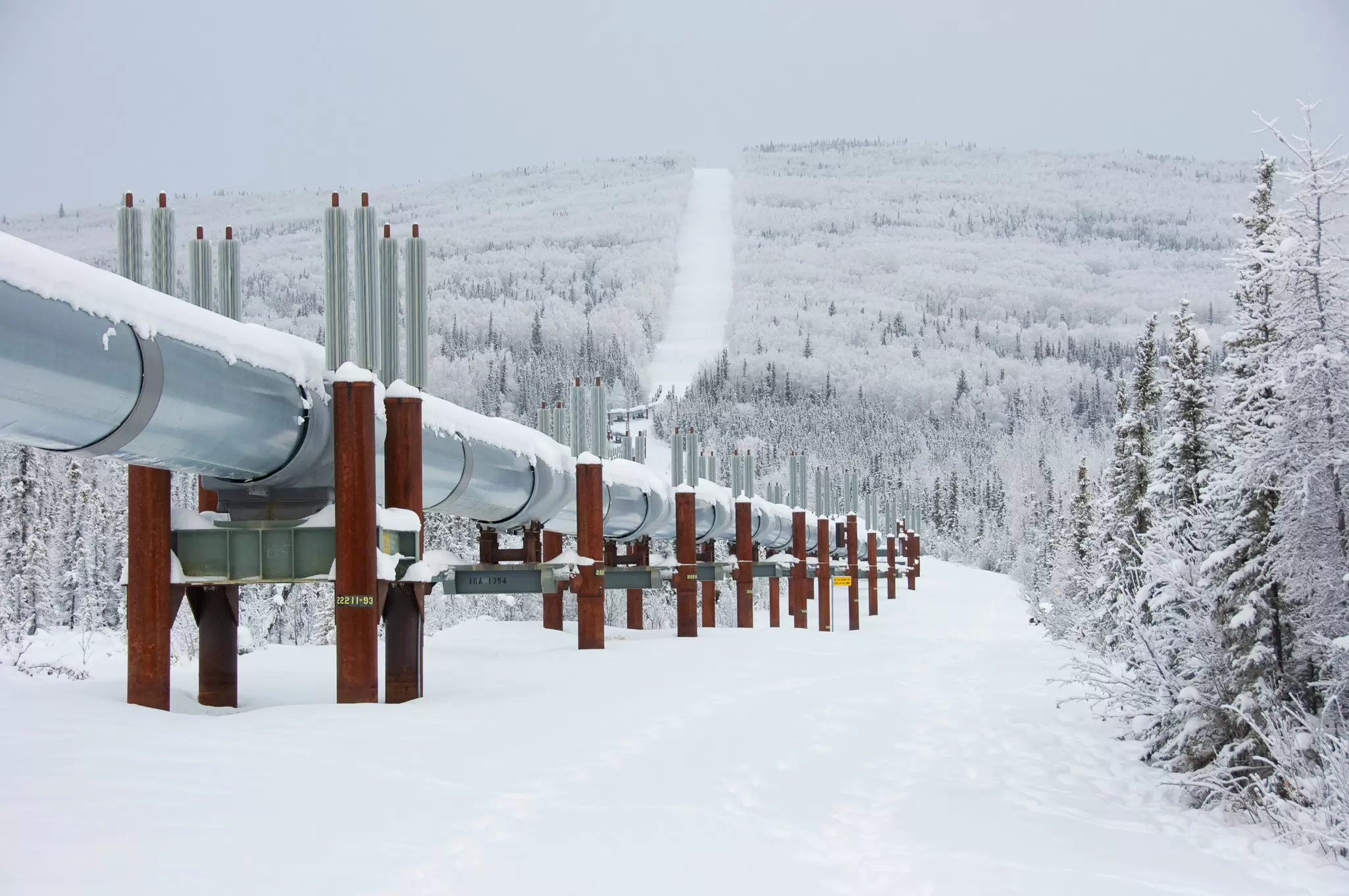 Winter Trans Alaska Pipeline with Snow