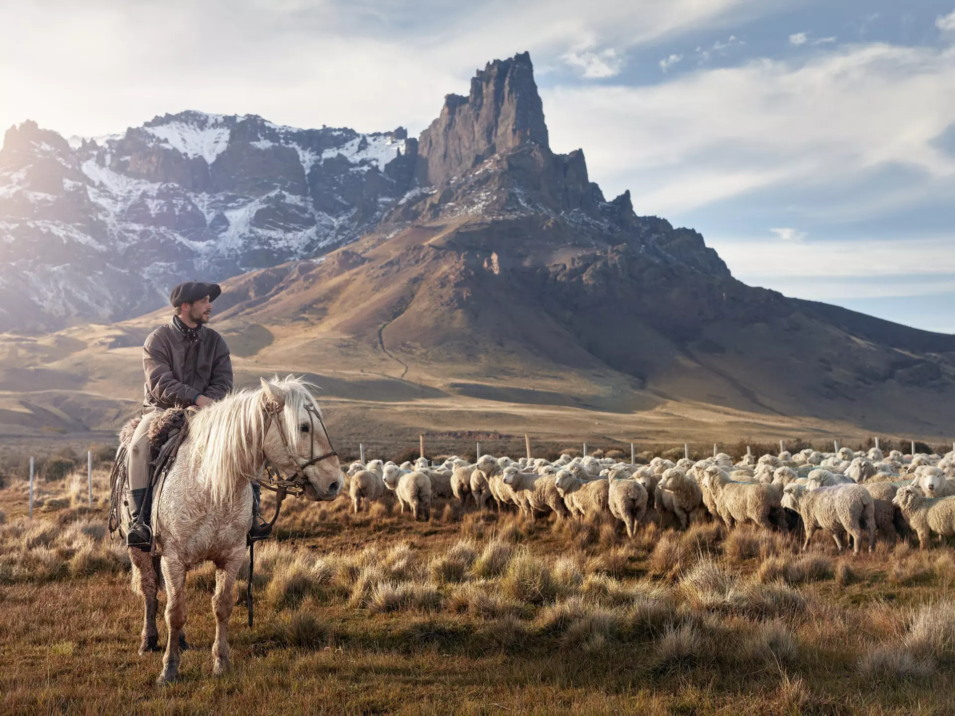 A gaucho/cowboy sits on a horse gazing out at a flock of sheep on plains at the foot of jagged mountains.