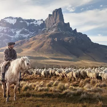 A gaucho/cowboy sits on a horse gazing out at a flock of sheep on plains at the foot of jagged mountains.