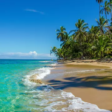 Caribbean beach close to Puerto Viejo - Costa Rica