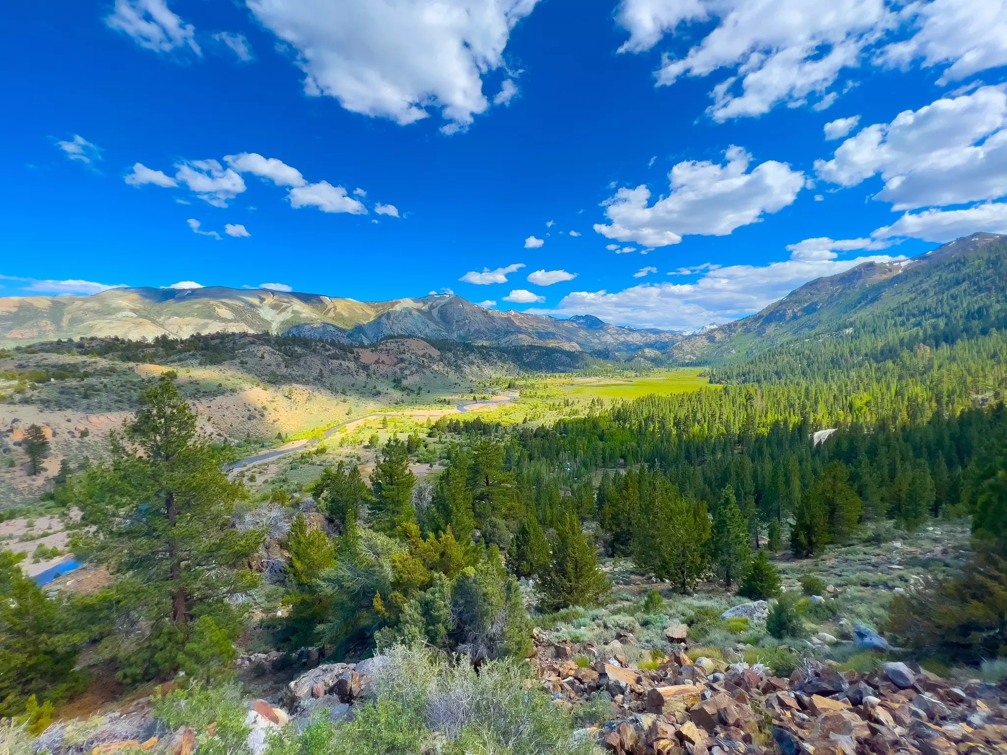 A wide view of a valley with pine trees and green meadows from an overlook above. Sunlight dapples the scene under blue skies.