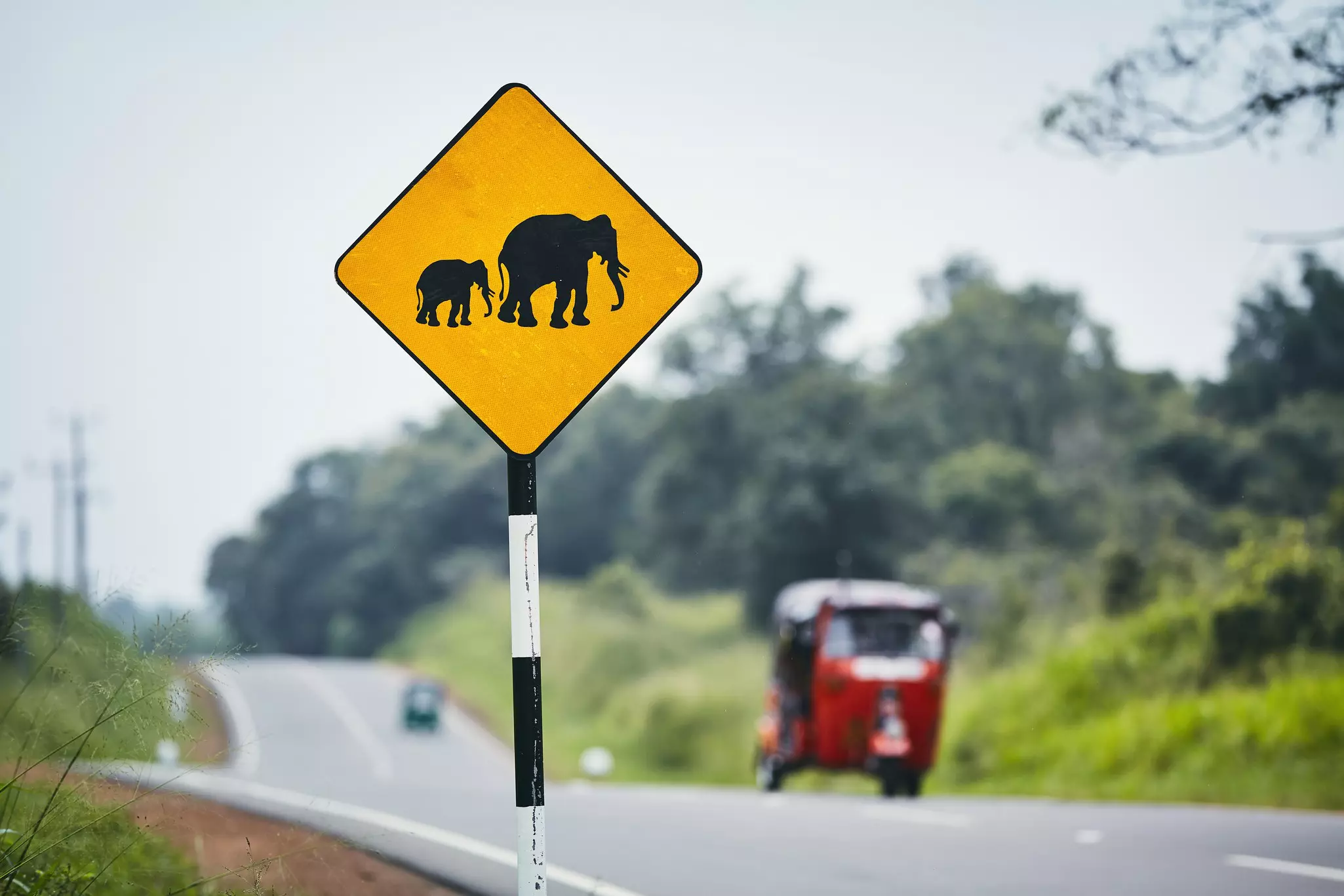A small red three-wheeled vehicle on a main road in a rural area passes a yellow sign warning that there are wild elephants in the area. 