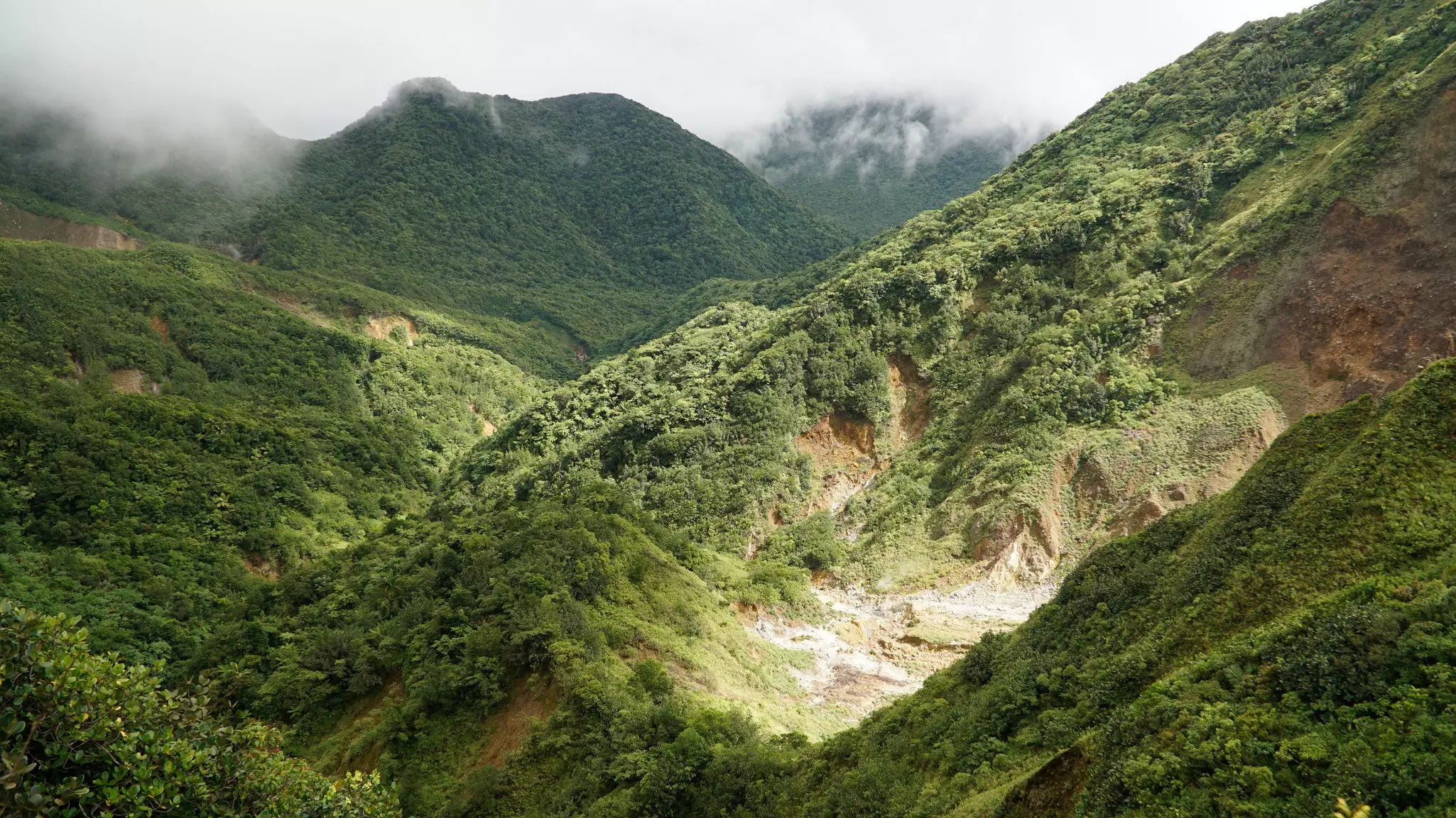 The steam coming off Boiling Lake in the background on the island of Dominica.