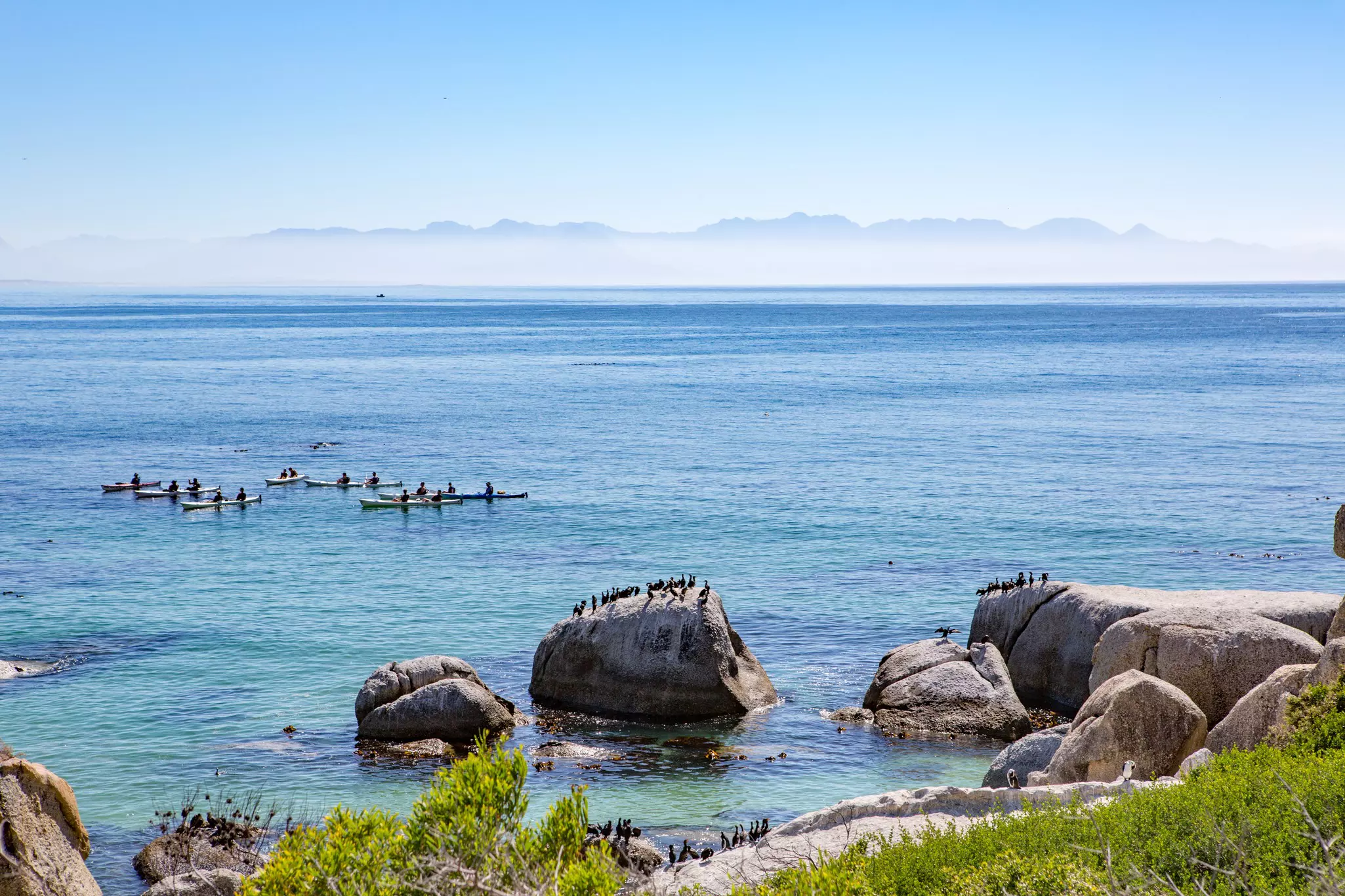 A group of people on kayaks in the sea with penguins on rocks in the foreground on a sunny day.