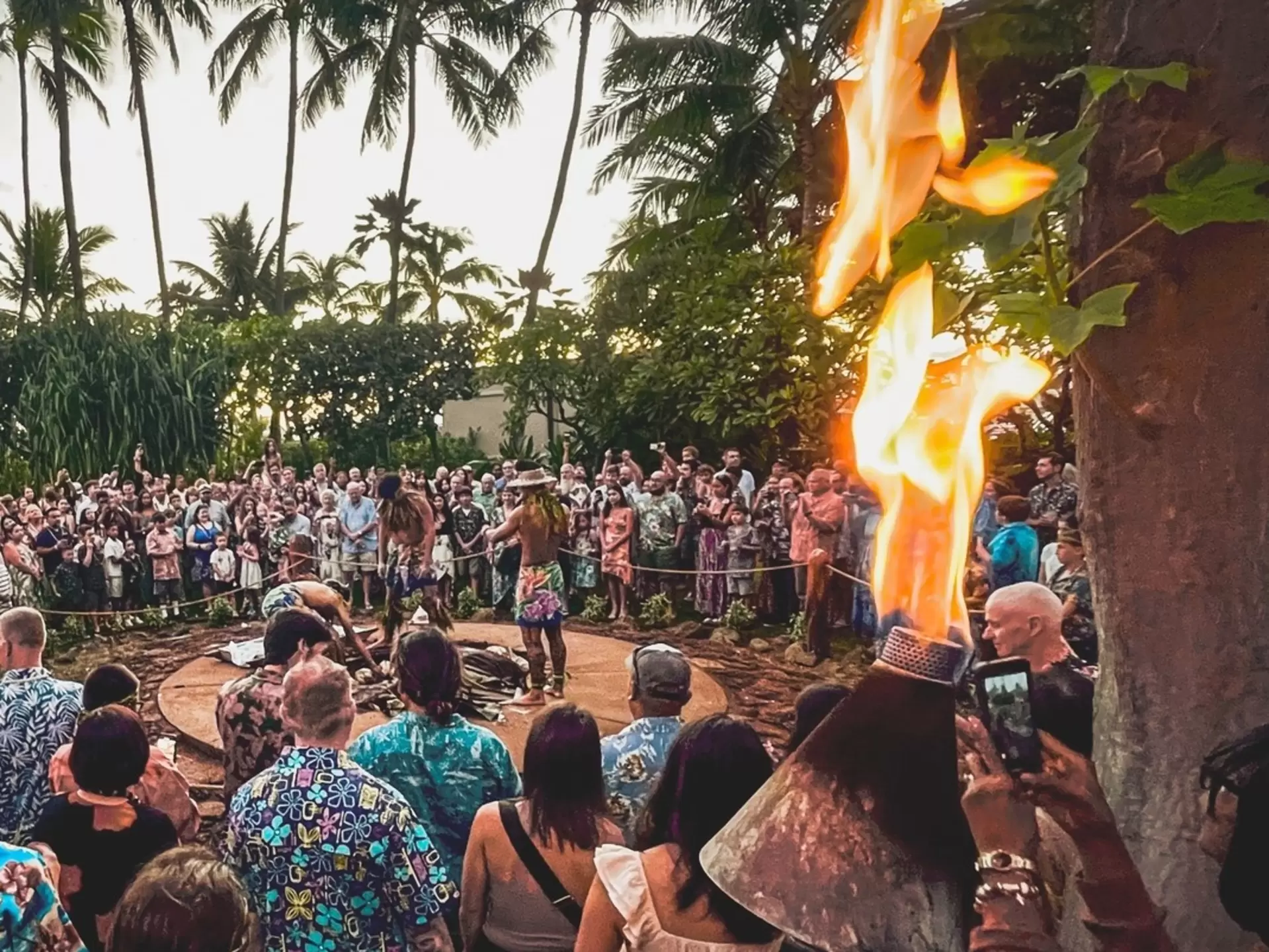 People wearing colorful patterened shirts gathered around an underground pit where people are lifting out a cooked pig: a luau in Hawaii 