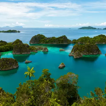 Dozens of small, forested limestone islands rising from turquoise lagoons at Piaynemo, Raja Ampat, seen from a hilltop.