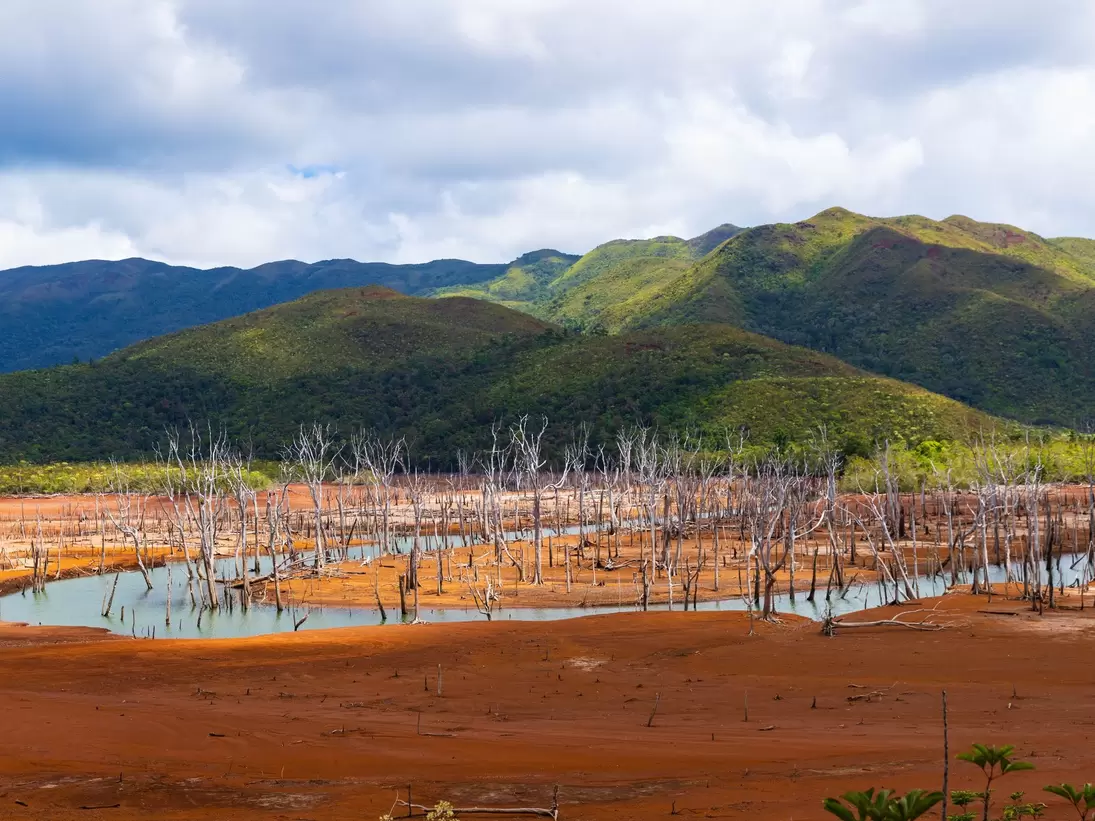 Bleached bare tree trunks standing in shallow pools on bright red-orange earth, with green scrub-covered hills behind.