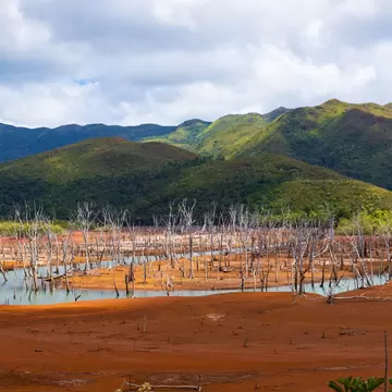 Bleached bare tree trunks standing in shallow pools on bright red-orange earth, with green scrub-covered hills behind.