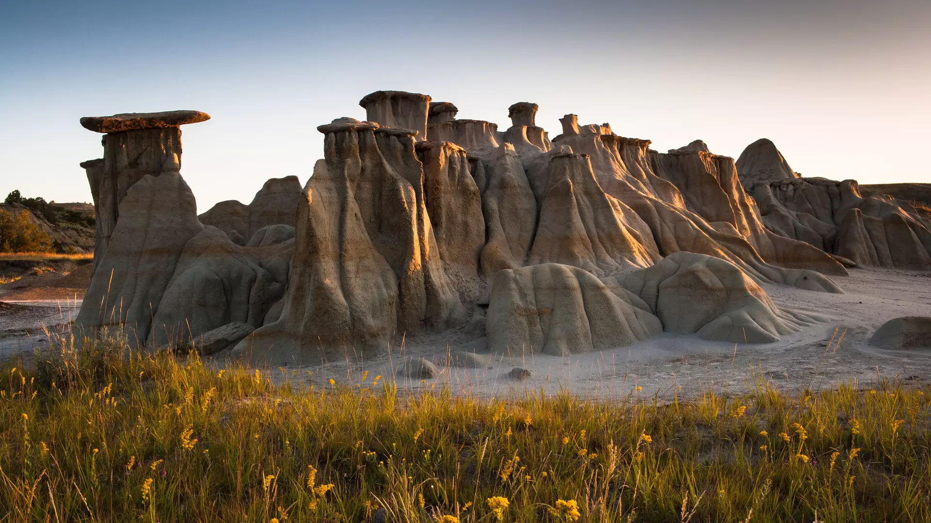 Laurens Hoddenbagh/Shutterstock
