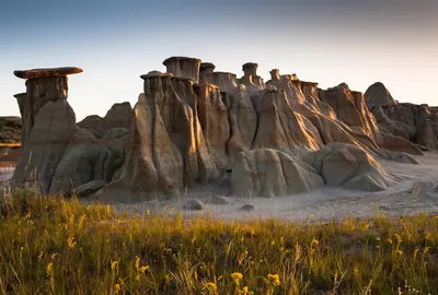 Laurens Hoddenbagh/Shutterstock