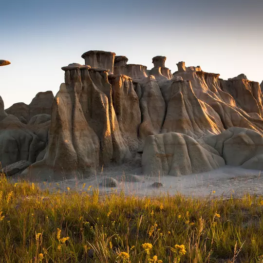 Laurens Hoddenbagh/Shutterstock