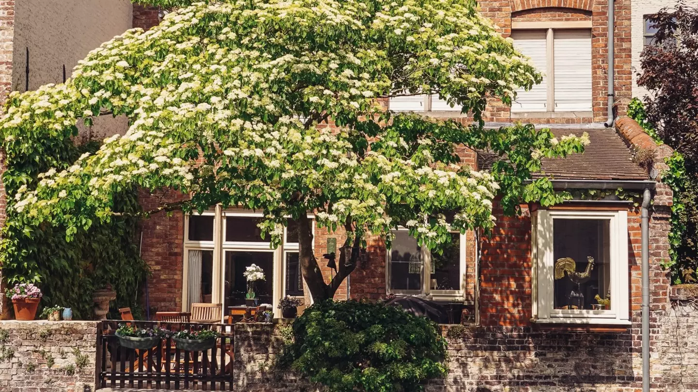 Flemish architecture on display in Lille's place du Général de Gaulle