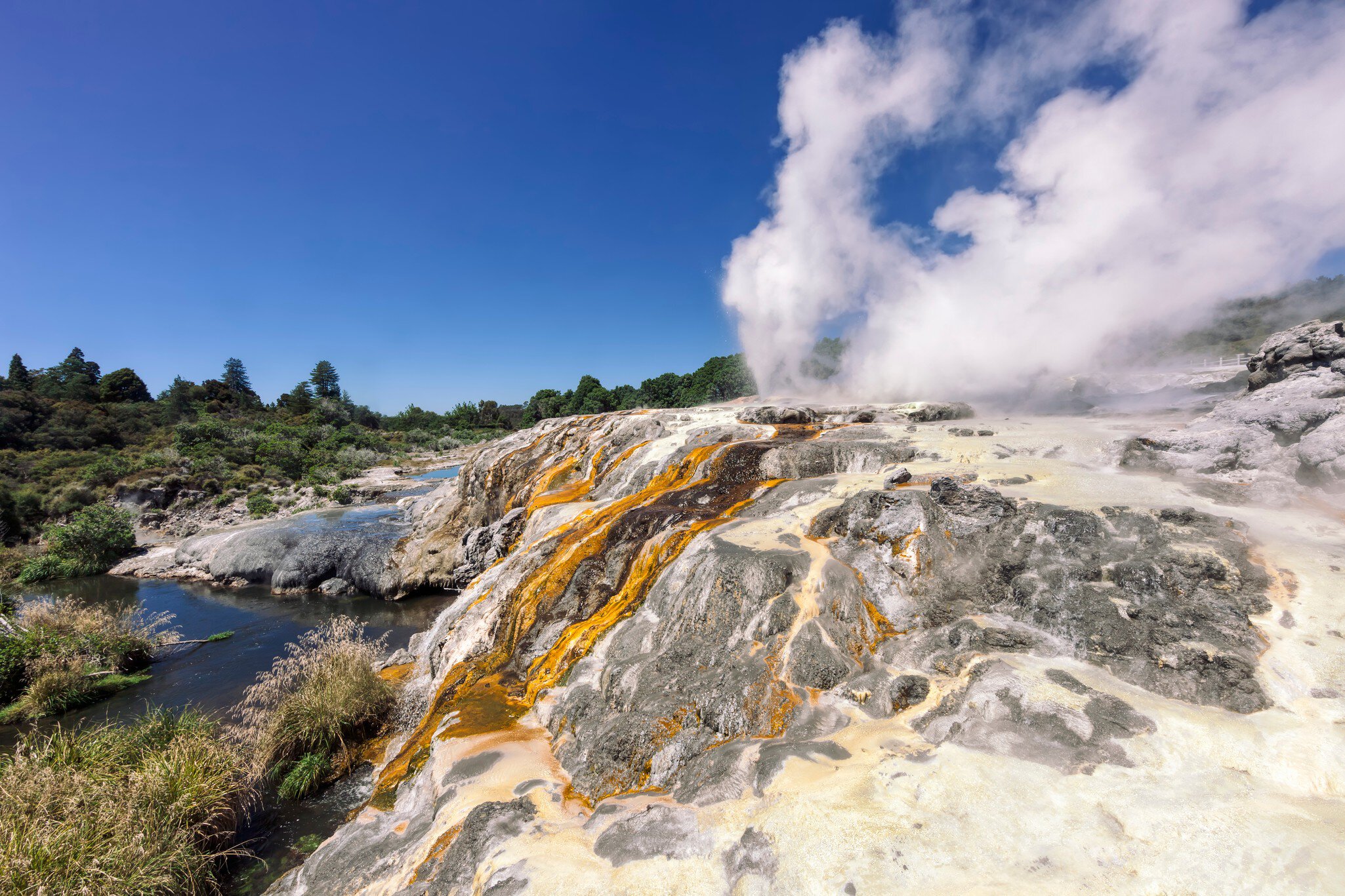 Pohutu Geyser in Te Puia – Rotorua, Bay of Plenty, North Island, New Zealand; Shutterstock ID 1454698547;