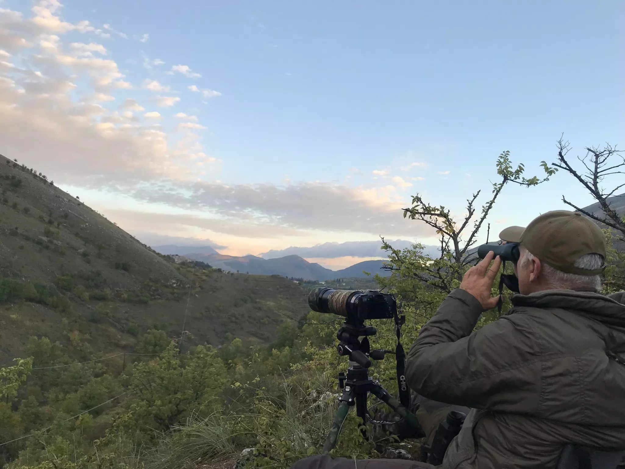 A man stands in dense forest with a telescope watching the sunrise