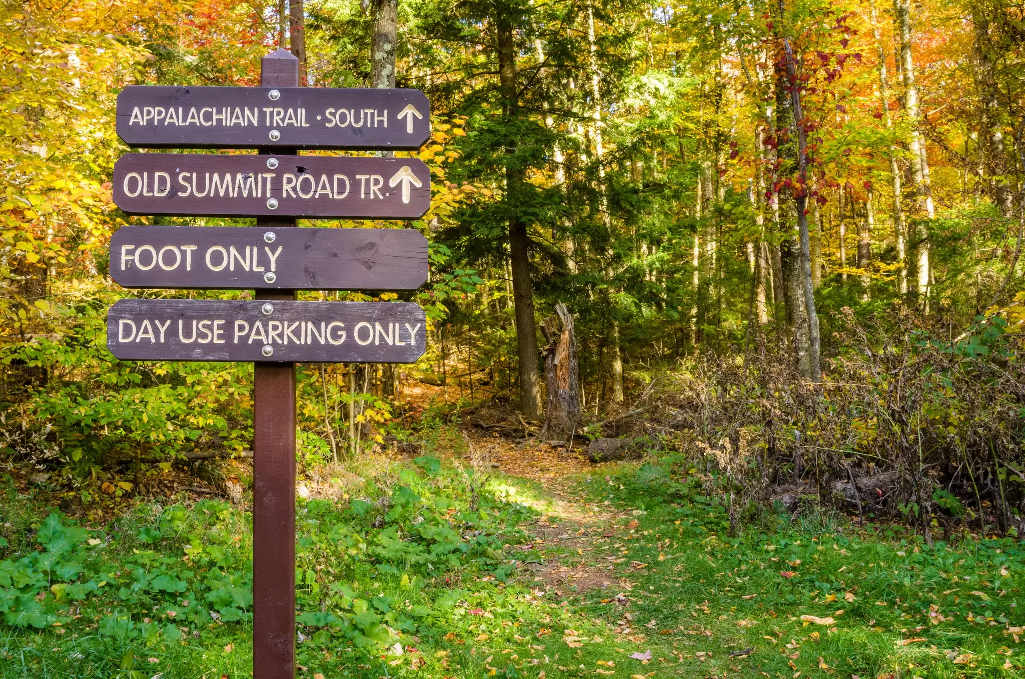 Information Wooden Signs at the Beginning of a Mountain Path. Mount Greylock, The Berkshires, MA.
826719668