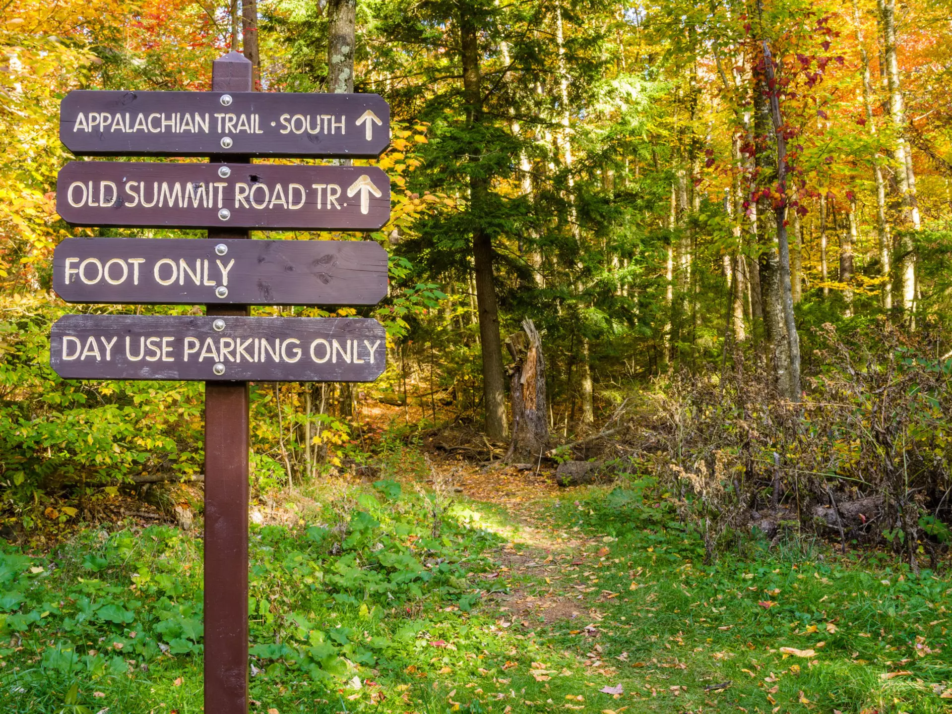 Information Wooden Signs at the Beginning of a Mountain Path. Mount Greylock, The Berkshires, MA.
826719668