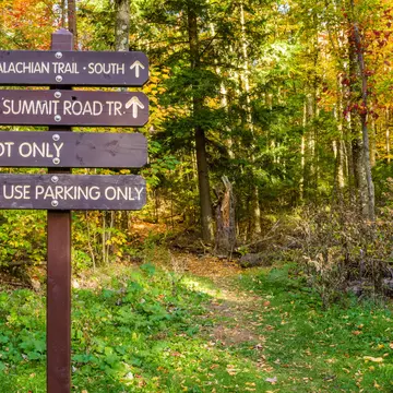 Information Wooden Signs at the Beginning of a Mountain Path. Mount Greylock, The Berkshires, MA.
826719668