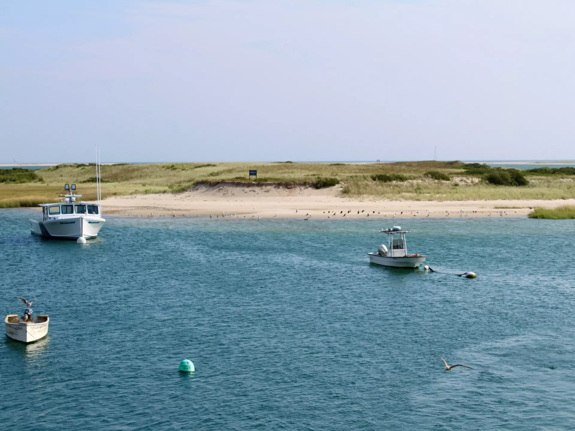 June is the perfect time to head to Cape Cod. Trisha Fay/Shutterstock