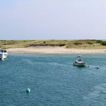 June is the perfect time to head to Cape Cod. Trisha Fay/Shutterstock