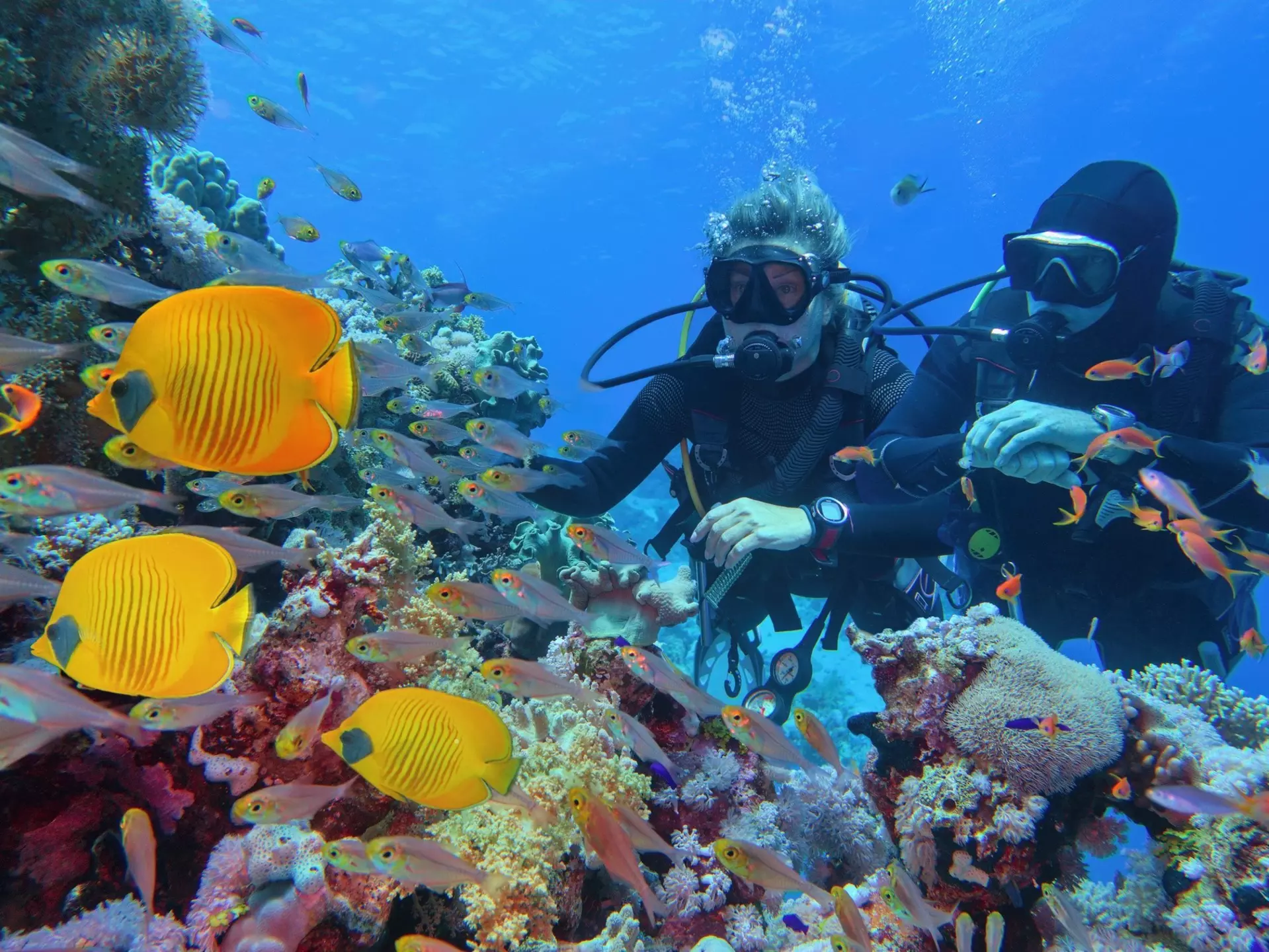 Prime season for underwater visibility with calm warm seas © Tunatura / iStockphoto / Getty Images