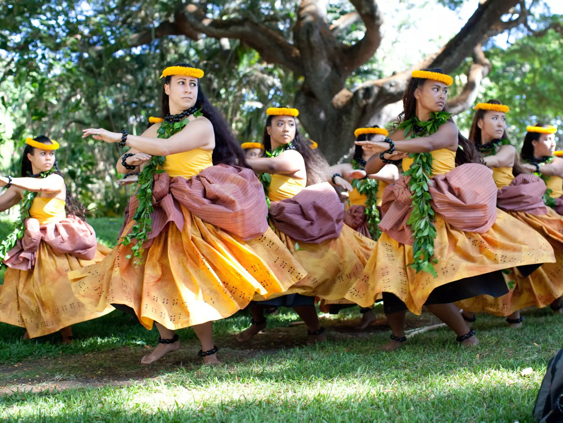 Collage of food from Mamo, Howth