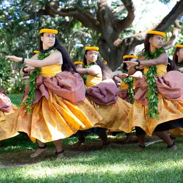 Collage of food from Mamo, Howth