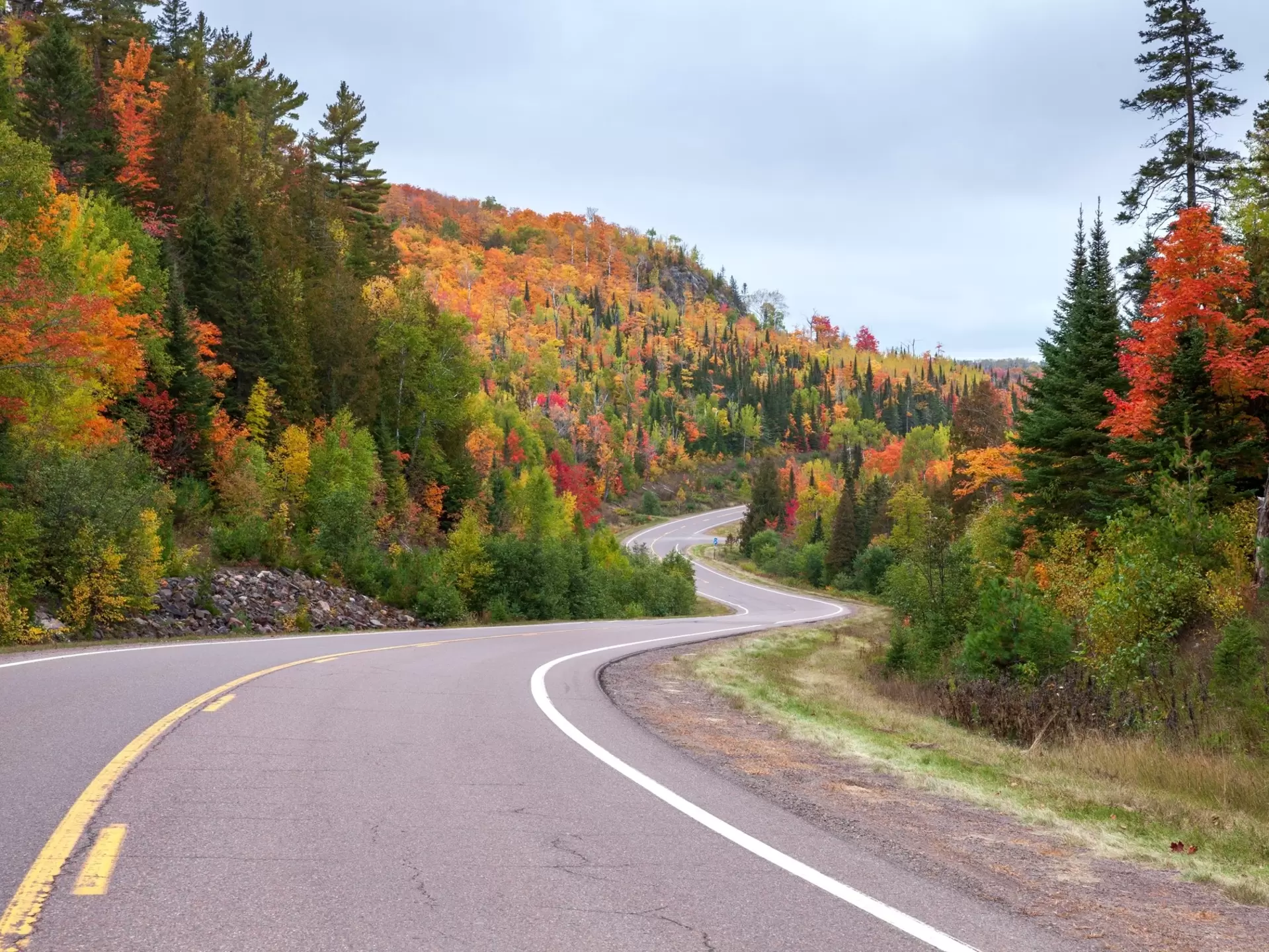 A winding road passes colorful fall foliage near Caribou Lake in Minnesota. 