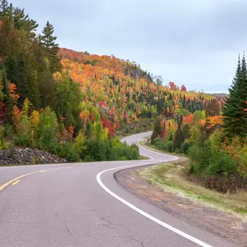 A winding road passes colorful fall foliage near Caribou Lake in Minnesota. 