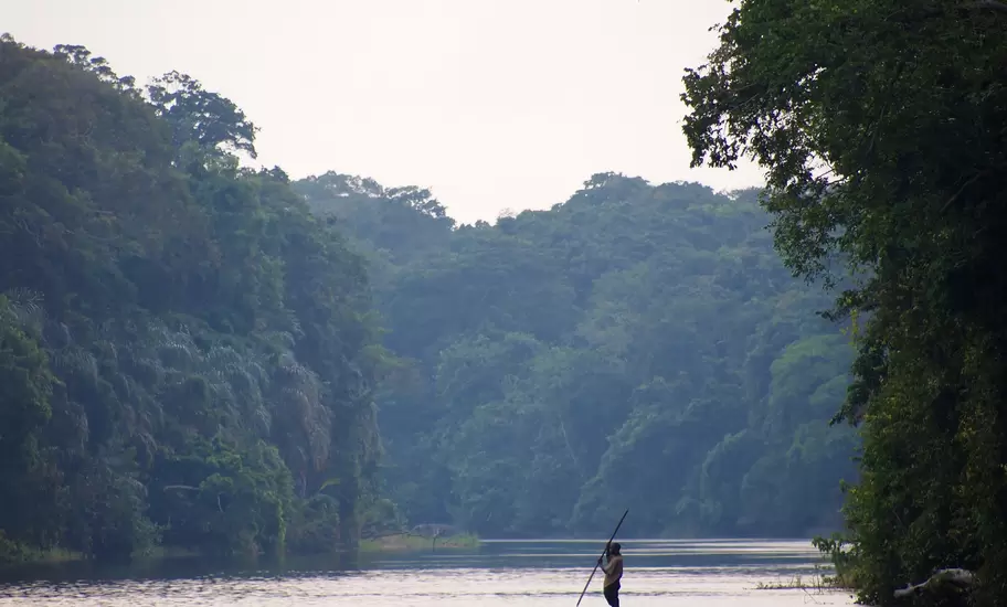 Man poling a long dugout canoe on a calm river through dense rainforest in the Democratic Republic of Congo