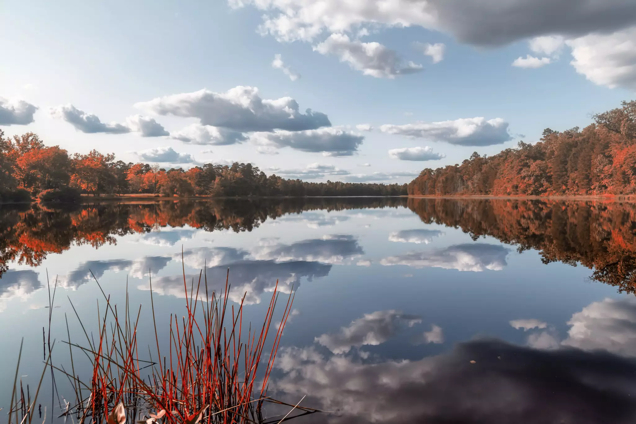 Clouds reflecting off a lake surrounded by colorful trees