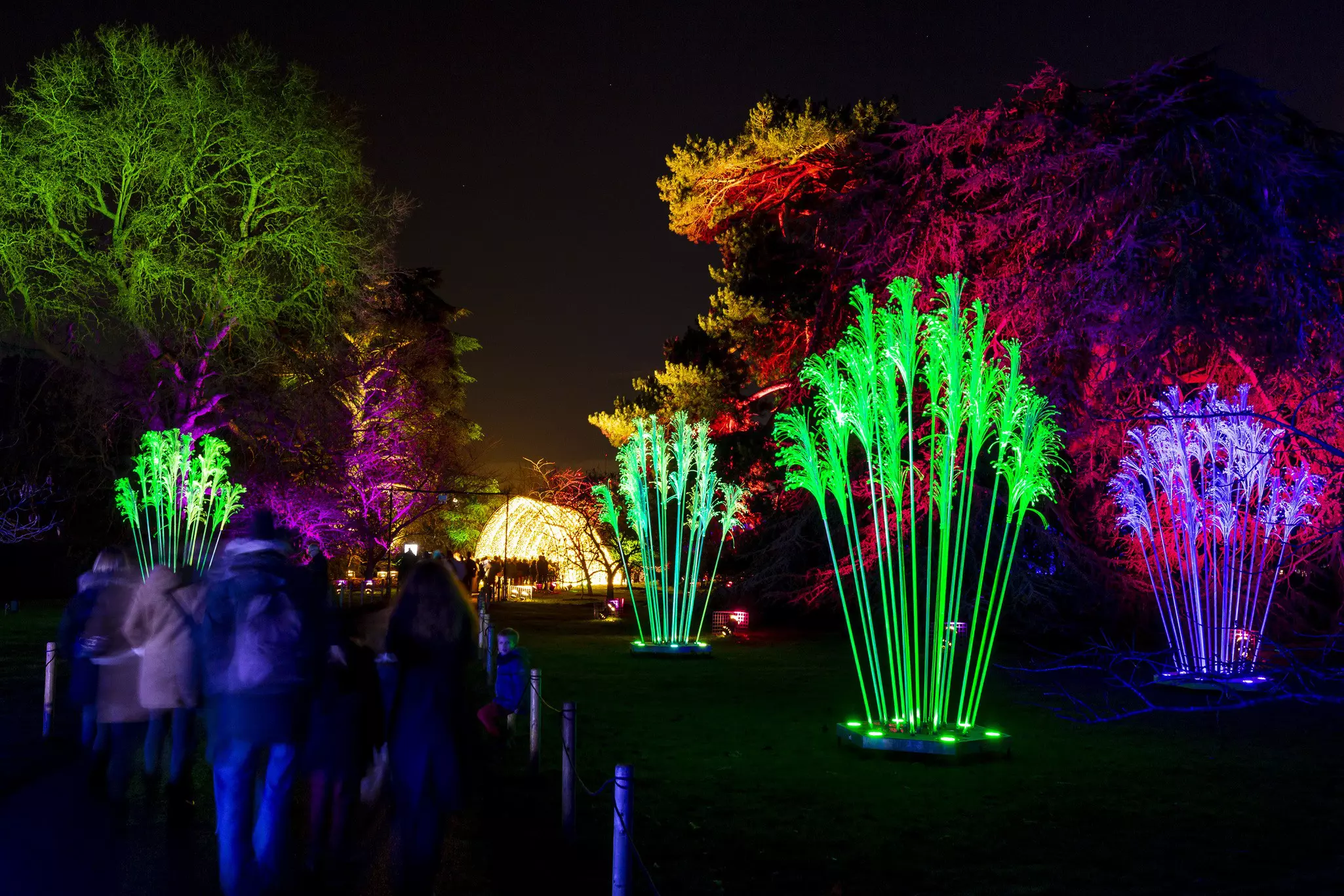 A neon-lit plants outdoor path at the Brooklyn Botanic Garden