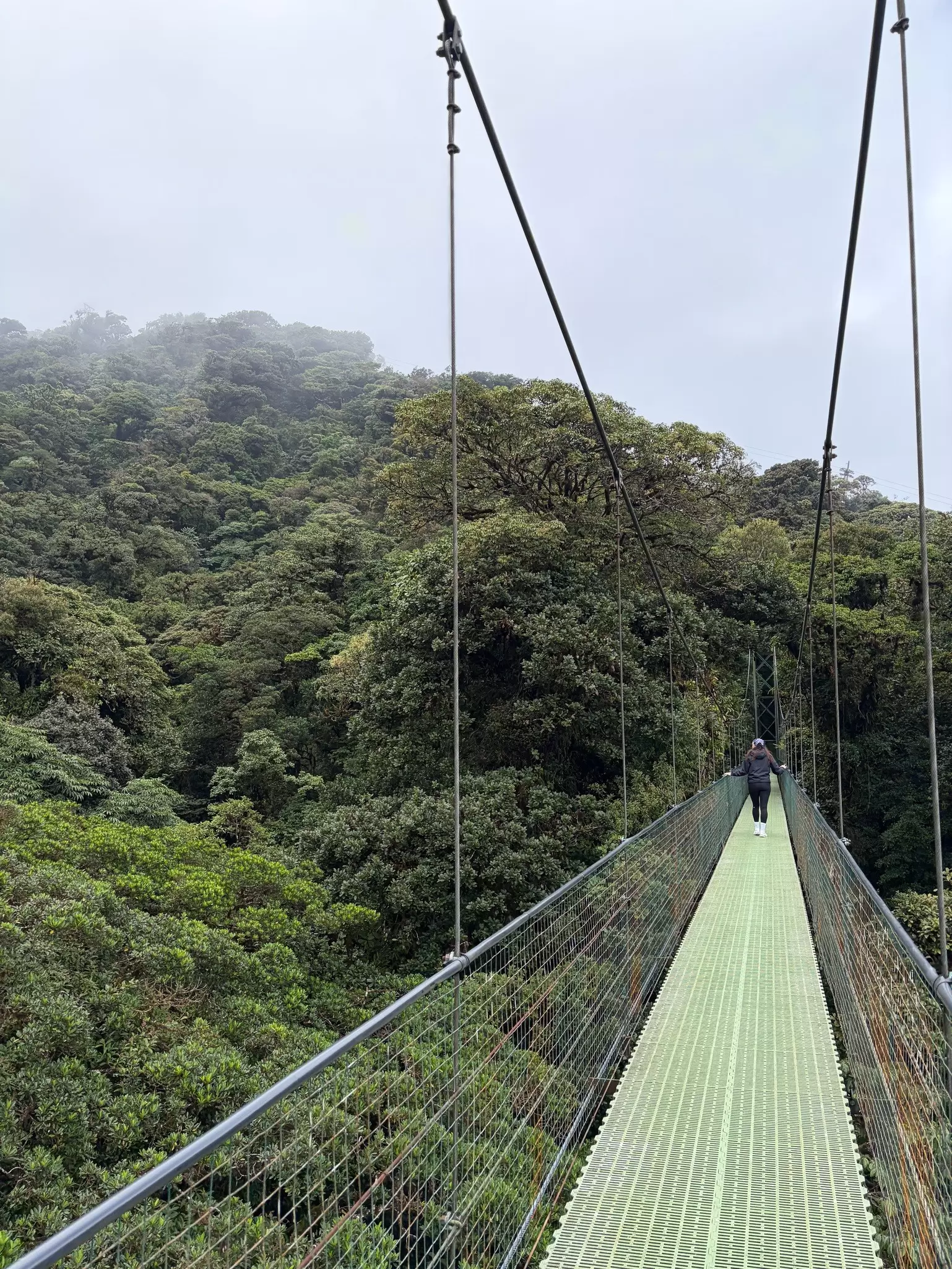a hanging bridge through the cloud forest in costa rica