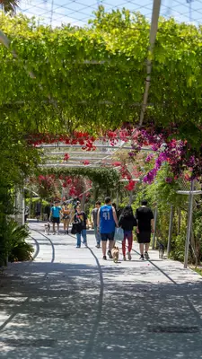 Parque Central, located in the Russafa neighborhood, is another urban oasis.